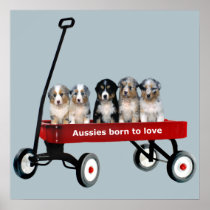 Australian Shepherd Pups In Wagon Print