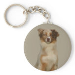 Australian Shepherd Red Keychain
