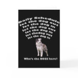 Australian Shepherd Schedule Card