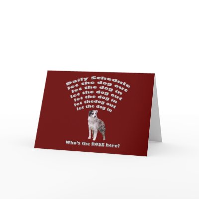 Australian Shepherd Schedule Greeting Card by knewfy