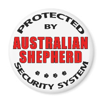 Australian Shepherd Security Magnet