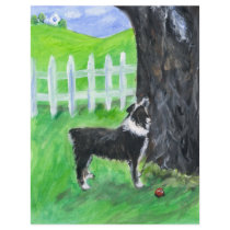 Australian Shepherd sees squirrel