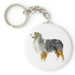 Australian Shepherd Standing