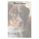 Australian Shepherd Stationery Paper