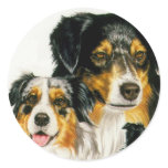 Australian Shepherd stickers