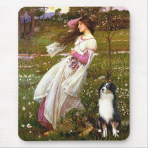 Australian Shepherd (Tri) - Windflowers