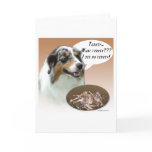 Australian Shepherd Turkey Card