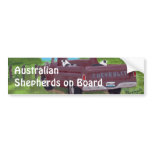 Australian Shepherds on Board Bumper Sticker bumper stickers