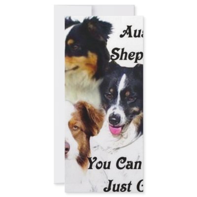 Australian shepherds rack card template by knewfy