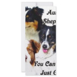Australian shepherds rack cards