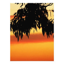 Australian Silhouette Sunset Photo