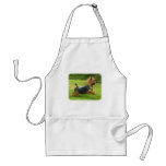 Australian Silky Terrier design Aprons