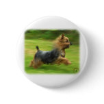 Australian Silky Terrier design Pinback Button