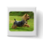 Australian Silky Terrier design Pins