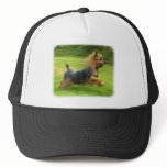 Australian Silky Terrier design Trucker Hats