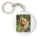Australian Silky Terrier design Keychains