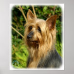 Australian Silky Terrier design Print