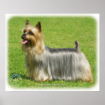 Australian Silky Terrier design posters
