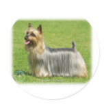 Australian Silky Terrier design Stickers