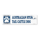 Australian Stumpy Tail Cattle Dog Blue Bumper Sticker