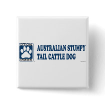 Australian Stumpy Tail Cattle Dog Blue