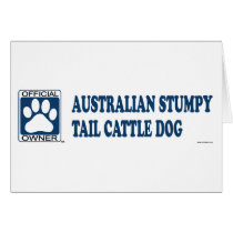 Australian Stumpy Tail Cattle Dog Blue