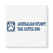 Australian Stumpy Tail Cattle Dog Blue