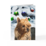 Australian Terrier Christmas Gifts Greeting Cards