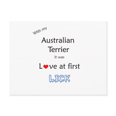Australian Terrier Lick Design Post Cards by GreyWolfCreation