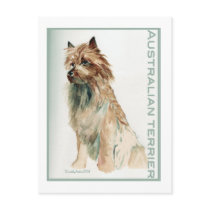 Australian Terrier sit Postcards