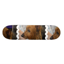 Australian Terrier Skateboard