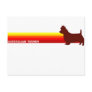 Australian Terrier With Stripes Postcard