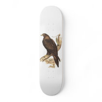 Australian Wedge Tailed Eagle. Huge Bird of Prey. Skateboards