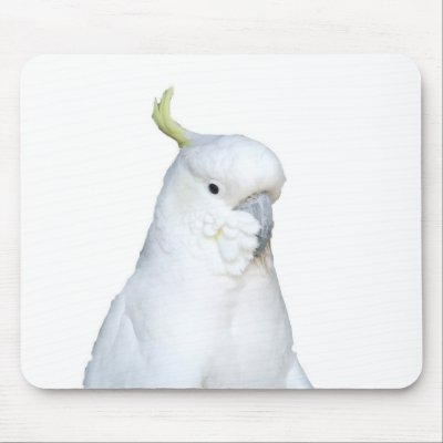 Australian White Cockatoo Mousepad by PhotoPixie