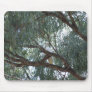 Australian Wildlife Cockatoo Mousepad