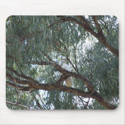 Australian Wildlife Cockatoo Mousepad by PhotoPixie