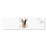 AustralianCattle Dog (redspec) History Design Bumper Sticker