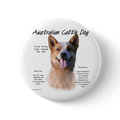 AustralianCattle Dog (redspec) History Design by GreyWolfCreation
