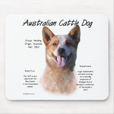 AustralianCattle Dog (redspec) History Design by GreyWolfCreation