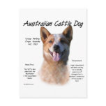 AustralianCattle Dog (redspec) History Design Postcards