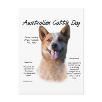 AustralianCattle Dog (redspec) History Design