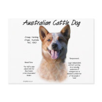 AustralianCattle Dog (redspec) History Design