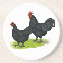 Australorp Black Chickens Beverage Coasters