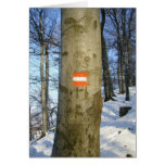 austrian tree cards