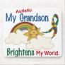 Autism BRIGHTENS MY WORLD 1 Grandson