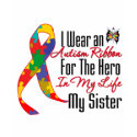 Autism Ribbon Hero in My Life My Sister t-shirts