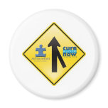 AutismSpeaks magnets