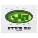 Autotrophic Dream (Biology Humour Food For Thought flyers