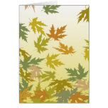 Autum Leaves