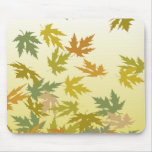 Autum Leaves